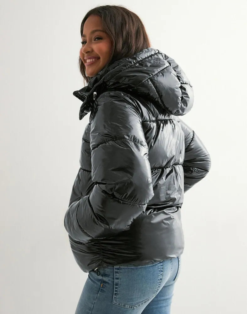 Selinea Shiny Puffer