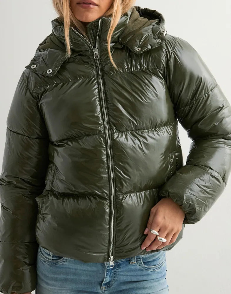 Selinea Shiny Puffer