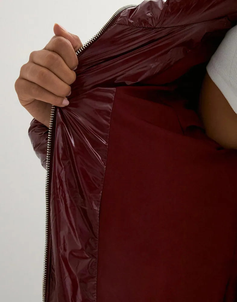 Selinea Shiny Puffer